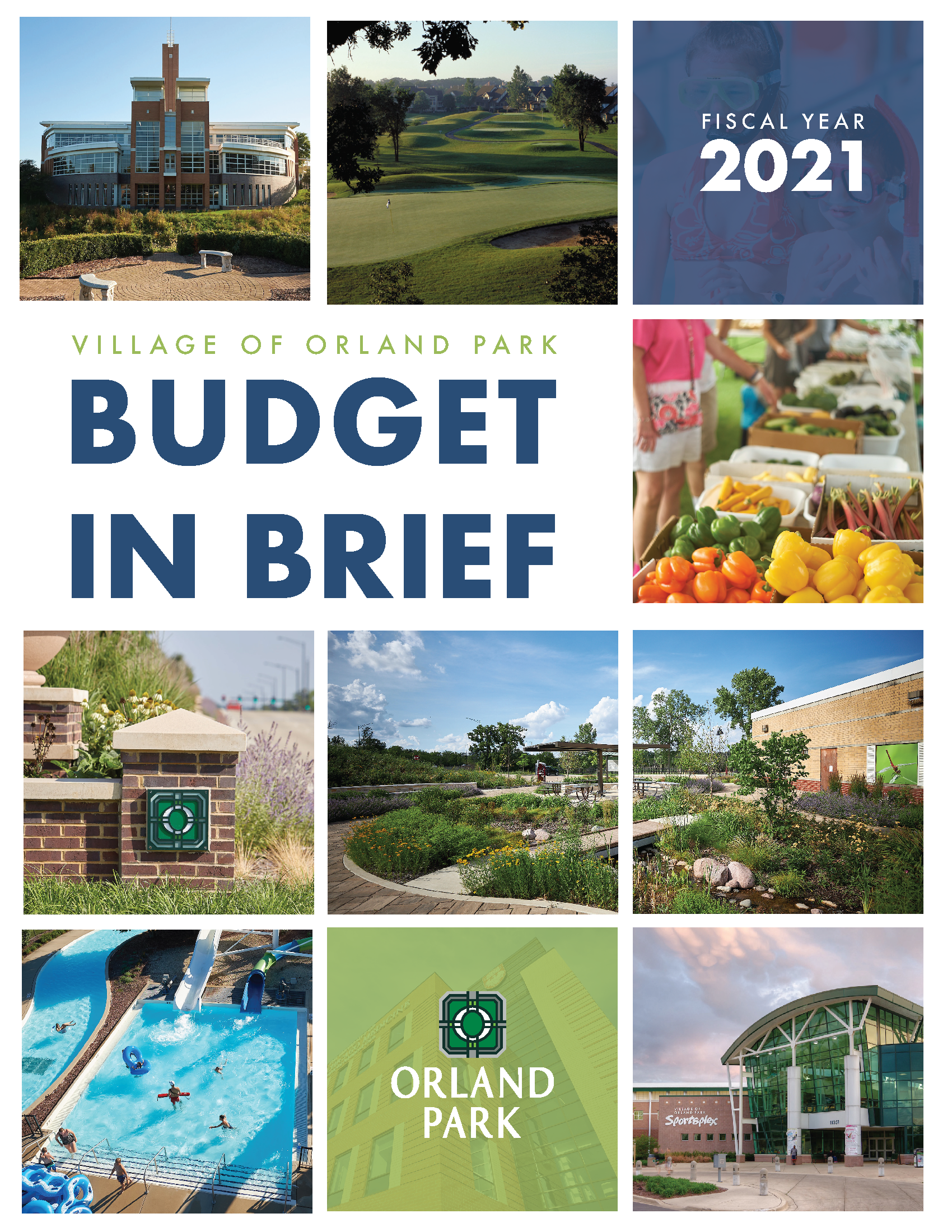 2021 Budget in Brief Cover