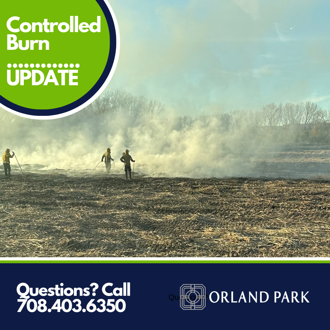 Image depicting workers conducting a controlled or prescribed burn of phragmites in the municipal basin near the public works building